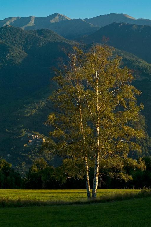El Casal Ξενοδοχείο Prats-de-Mollo-la-Preste Εξωτερικό φωτογραφία